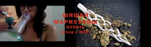 ГАЛЛЮЦИНОГЕННЫЕ ГРИБЫ Аркадак