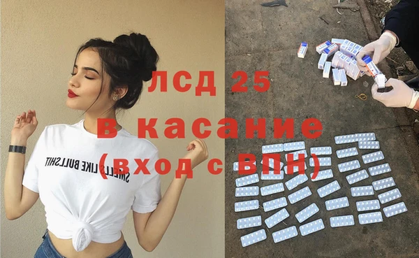 ГАЛЛЮЦИНОГЕННЫЕ ГРИБЫ Аркадак