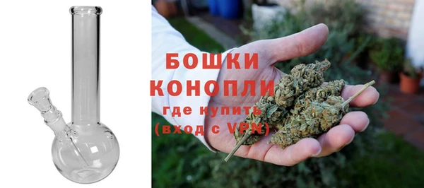 ГАЛЛЮЦИНОГЕННЫЕ ГРИБЫ Арсеньев