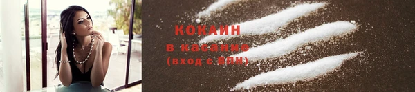 ГАЛЛЮЦИНОГЕННЫЕ ГРИБЫ Арсеньев
