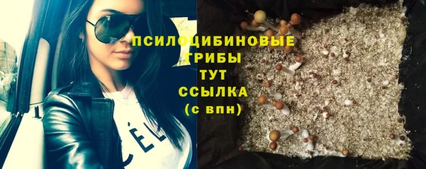 ГАЛЛЮЦИНОГЕННЫЕ ГРИБЫ Арсеньев